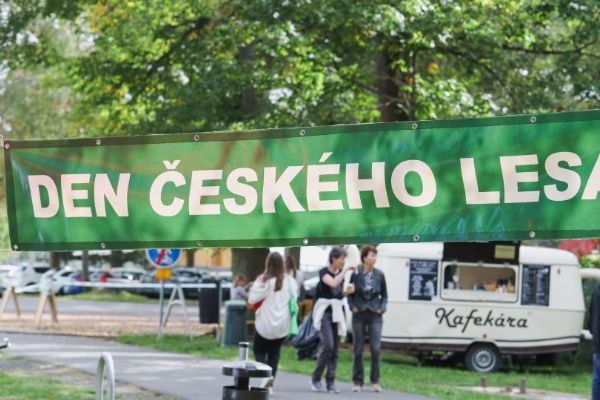 Den Českého lesa v Tachově přilákal téměř 600 lidí. V památné aleji se učili „číst“ ve stromech