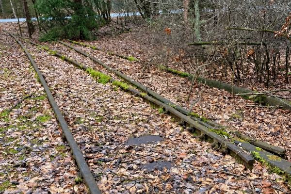 Mladotická lokálka se vrátí jen k Mariánské Týnici. Zbytek trati bude turistická stezka