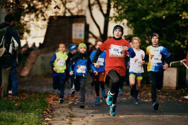 Plzeňsko oslaví vznik republiky během. Sokolové zvou na start do šesti míst