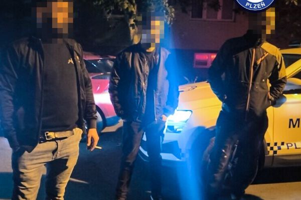 Na silnici se neudržel, po zastavení si chtěl přesednout. Řidič nadýchal 1,83 promile