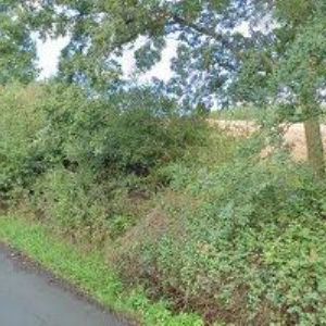 obrazek: avatar ŠIKULA