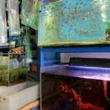 ZÁPADOČESKÉ NOVINY