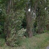 Zemědělský nákup Rokycany a.s.