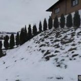 Letní kino - Černá v Pošumaví