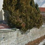 Fajfrlík Josef - malířství