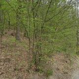 Kopřiva Jiří - MASÁŽE