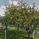 Siková Marie - TEREZA