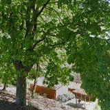 Duchková Alena - zahradnictví DUKO