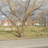 Heidenreich Pavel - PROTEMO