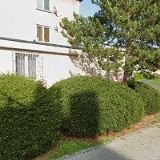 Švejnohová Jaroslava - MODELL