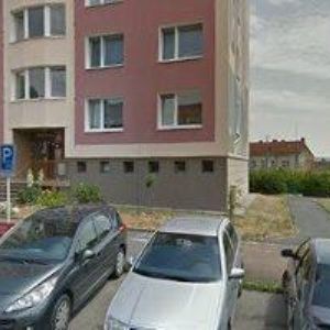 obrazek: avatar Ženíšek František