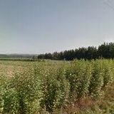 Novák Pavel - VIDEO N