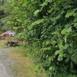 Krpejš Bohuslav - zedník