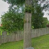 Černý Václav - zednické práce