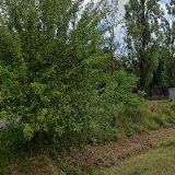 Fremr Jaroslav - senior