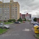 Holzknechtová Jiřina