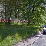 Král Václav - NOKR