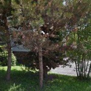 obrazek: avatar Kusch Vladimír