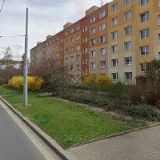 Růžičková Lidmila