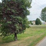 Kohout Jaroslav - Dřevovýroba