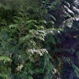 Kratochvílová Arleta - OBUV JITAR