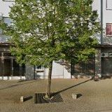 Mikeš Václav - AUTO MOTO STOD