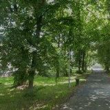 Krupařová Drahoslava