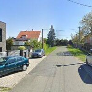 obrazek: avatar Flachs František