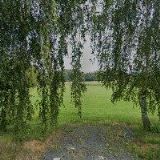 Janeček Jan - TRUHLÁŘSTVÍ