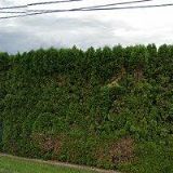 Zámečník Miroslav