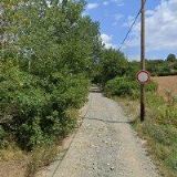 Dolák Pavel - TRANS EURO