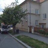 Neustupný Milan - ENEKO