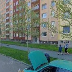 obrazek: avatar Papežová Alena
