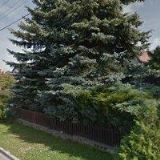 Friedrich František