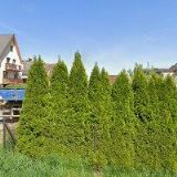 Kurfürst Václav - KOVO