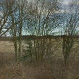 Propper Zdeněk - ŠOZDA