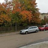Bláhovec Jiří,MUDr.