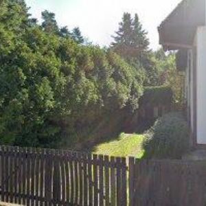 obrazek: avatar Grün Petr - GRUNSPORT