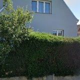 Plecháč Jaroslav,MUDr.