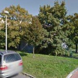 obrazek: avatar Šteklová Miroslava,MUDr. - zubní ordinace