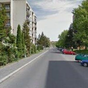 obrazek: avatar Hanus Ladislav - veterinární činnost