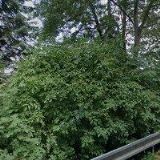 CHEZOP, spol. s r.o.