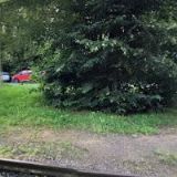 Anton Heggenstaller, Trhanov, spol. s r.o.