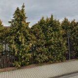 Jatka Zbiroh, spol. s r.o.