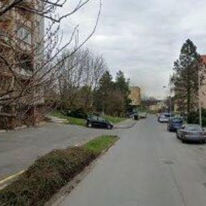 obrazek: avatar Holečková Lenka,MVDr.