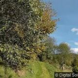 WIZARD DPM, spol. s r.o.