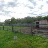 CHODSKÁ PILA-SRNKA s.r.o.