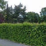 Lepší Jaroslav - AUTODOPRAVA