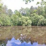 Šindelář Jaroslav