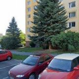 Miklovičová Dana - ORCHIDEA